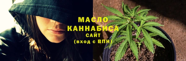 дживик Абаза