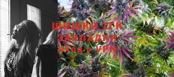 дживик Абаза