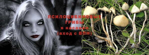 метадон Абдулино