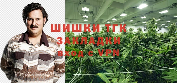 дживик Абаза