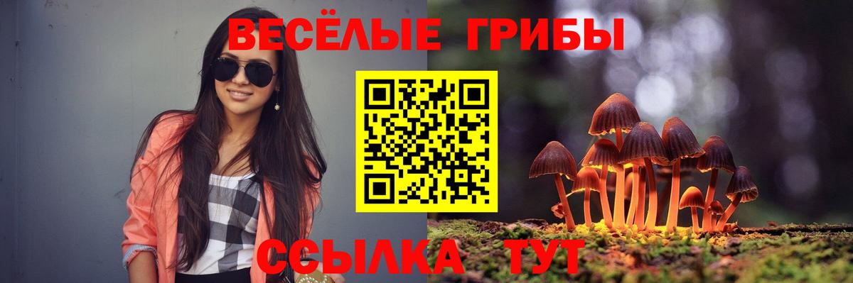 Холмск  Галлюциногенные грибы Psilocybine cubensis  Вход с VPN  Псилоцибиновые грибы Cubensis 
